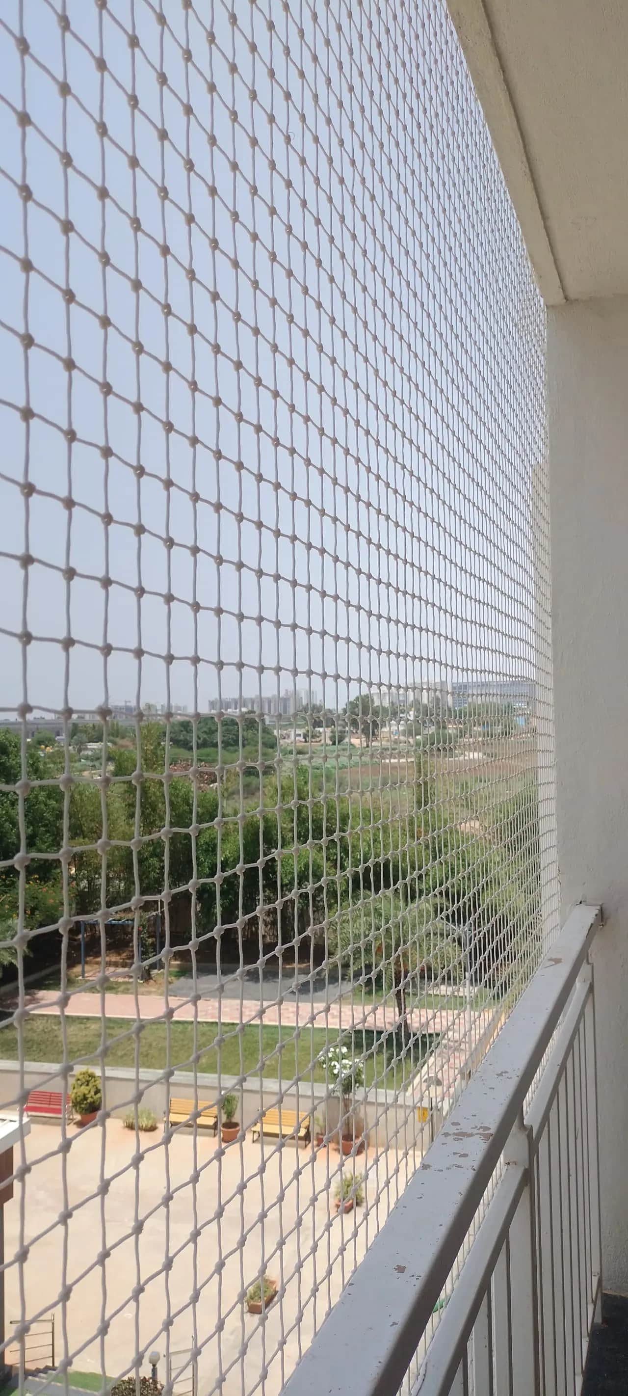 Cat Safety Nets 3