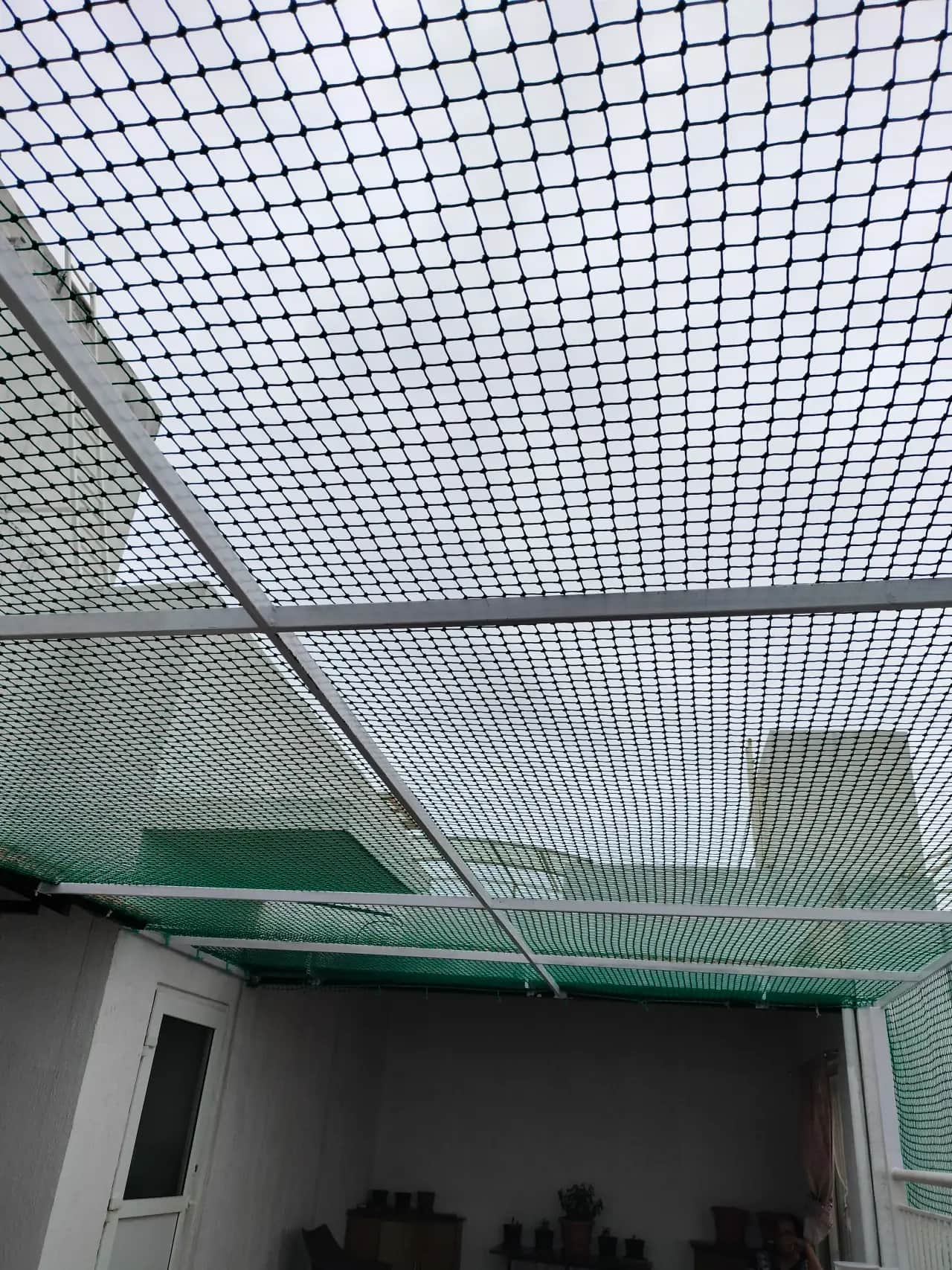 Debris Netting 4