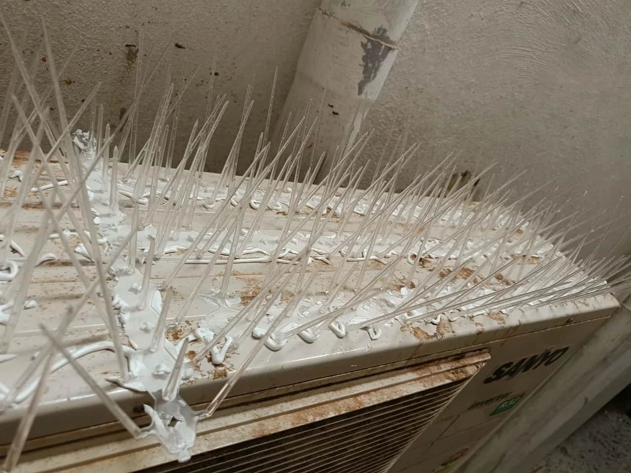 Bird Spikes Installation for Ledges and AC Units 2
