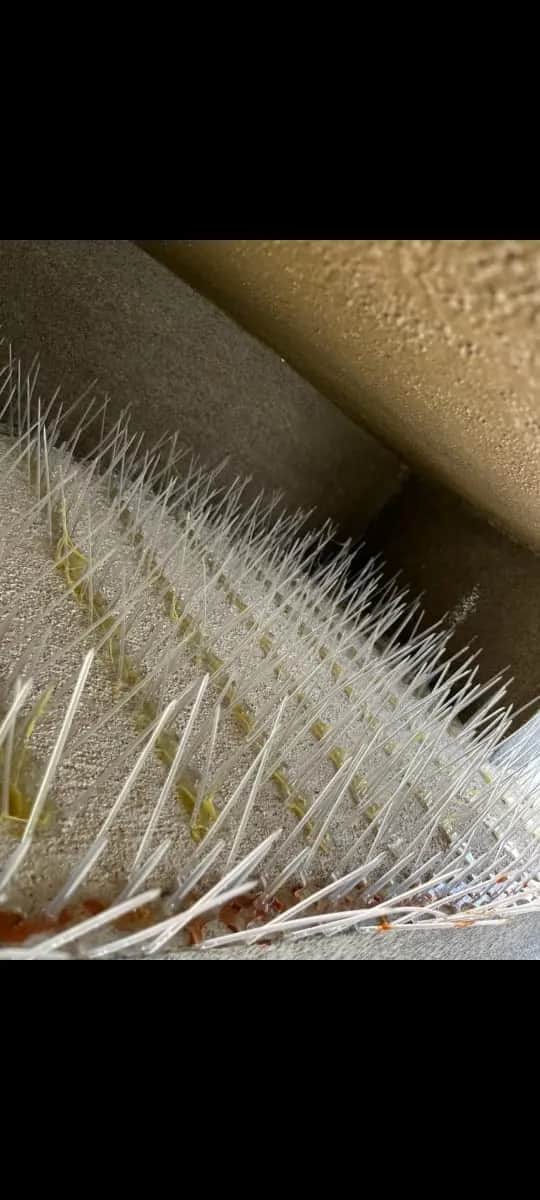 Bird Spikes Installation for Ledges and AC Units 5