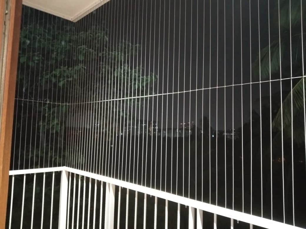 Invisible Mesh Nets 3