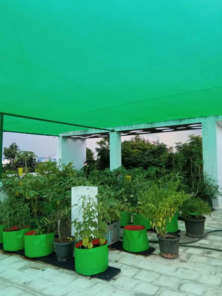 Shade Safety Nets 3