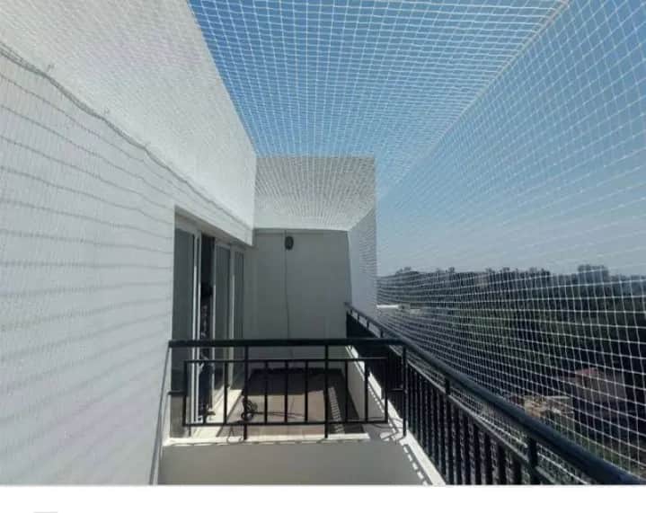 Invisible Bird Nets 3