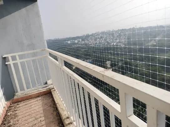 Hasanparthy Warangal Pigeon Safety Nets for drying side