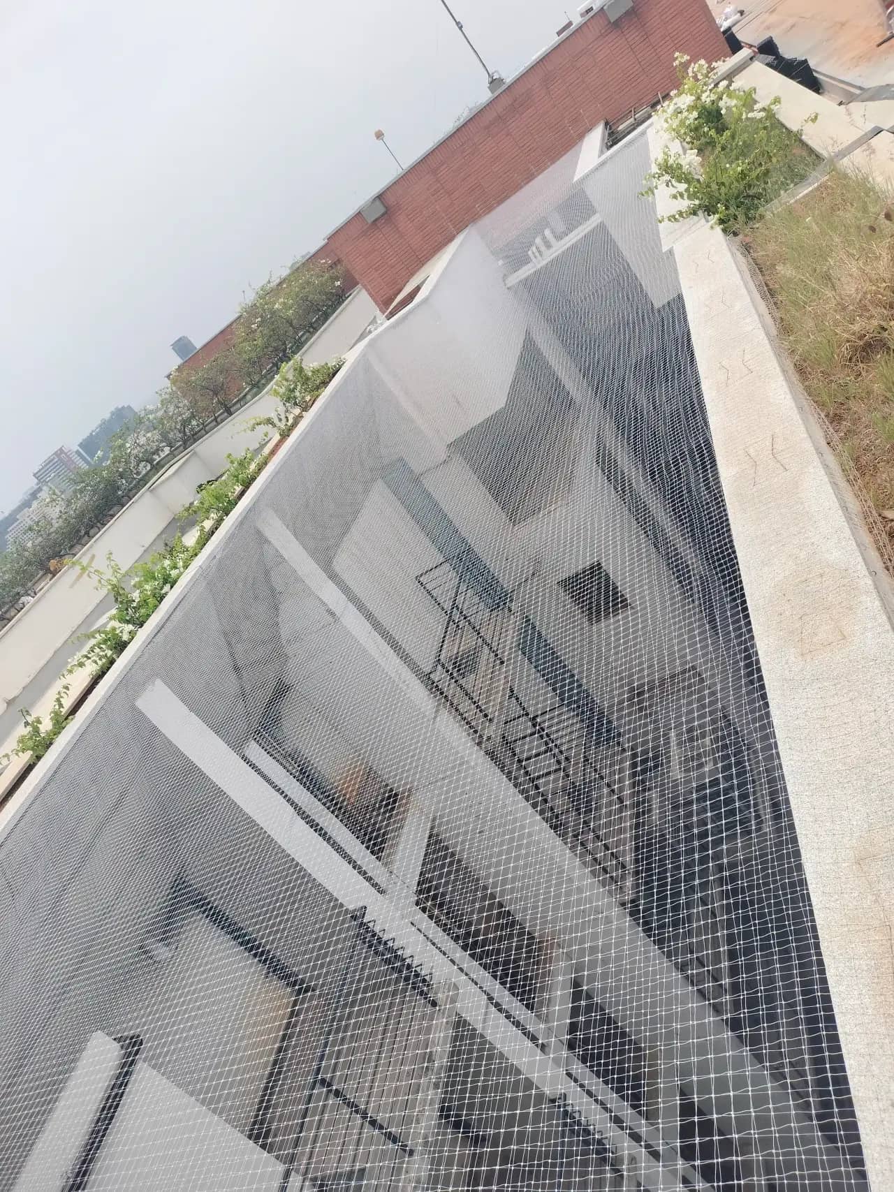 Roof Safety Nets