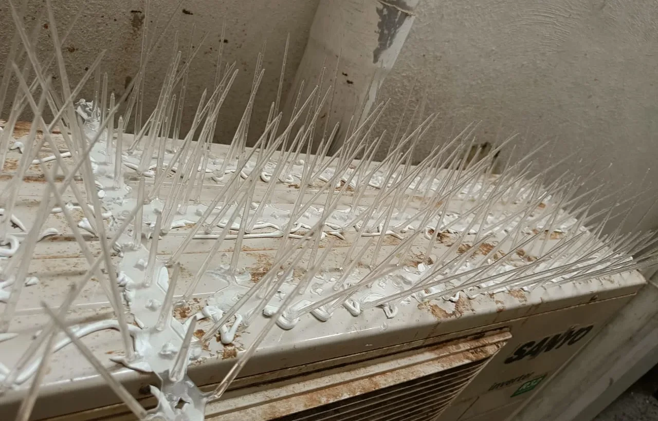 Bird Spikes Installation in Mettupalayam Road, Coimbatore