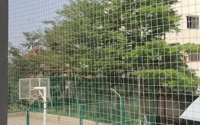 Square bird netting across a building opening overlooking trees and an outdoor court