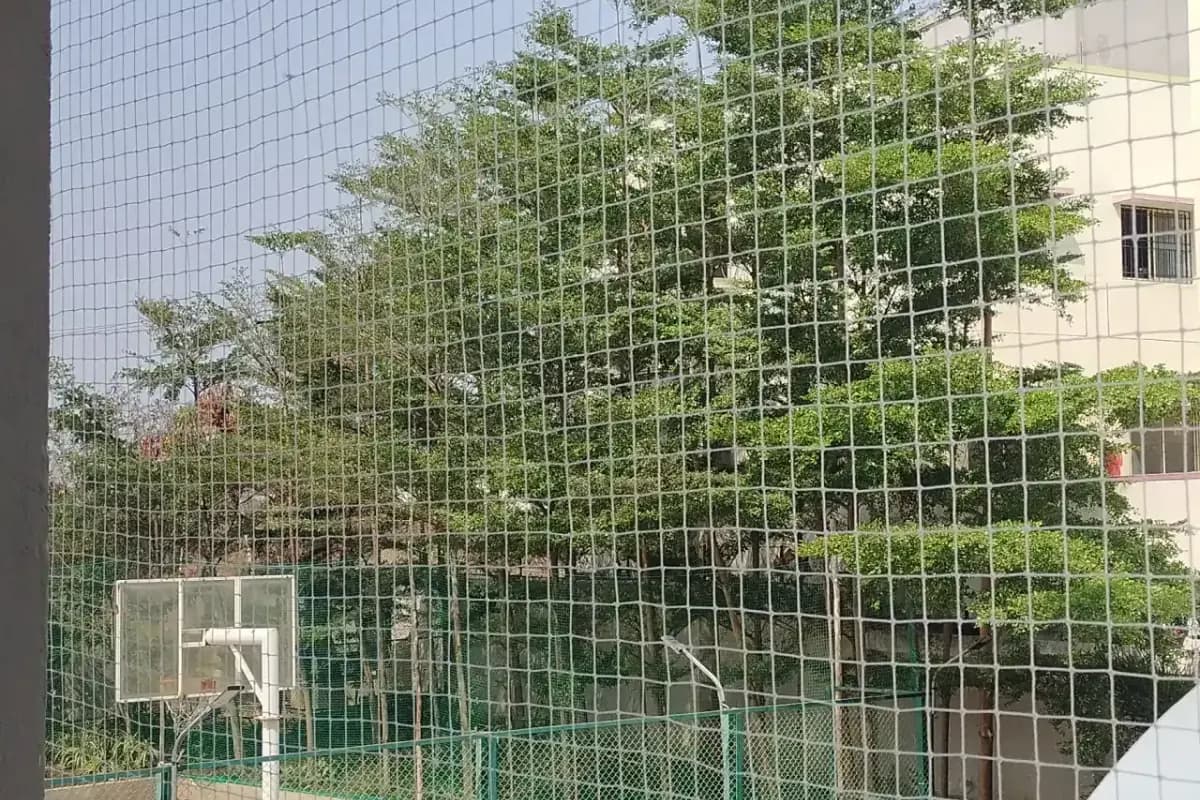 Anti Bird Nets planning for Bangalore
