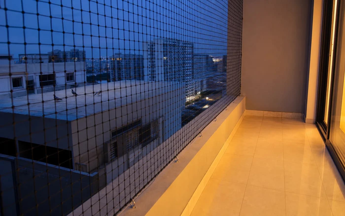 Pigeon Safety Net Evening Ledge View in Hyderabad