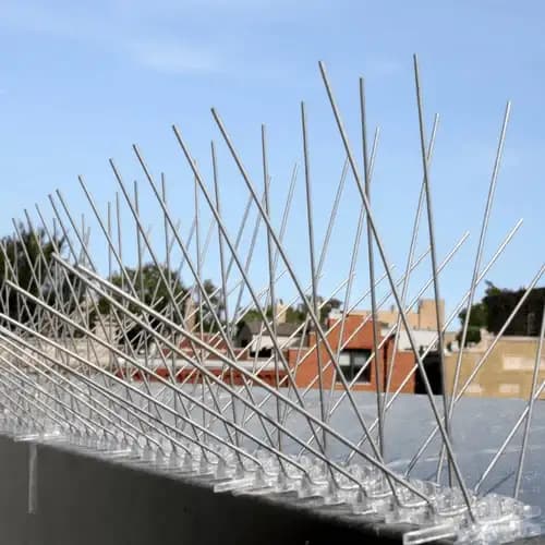 Bird Spikes Installation thumbnail 6 in Vizag