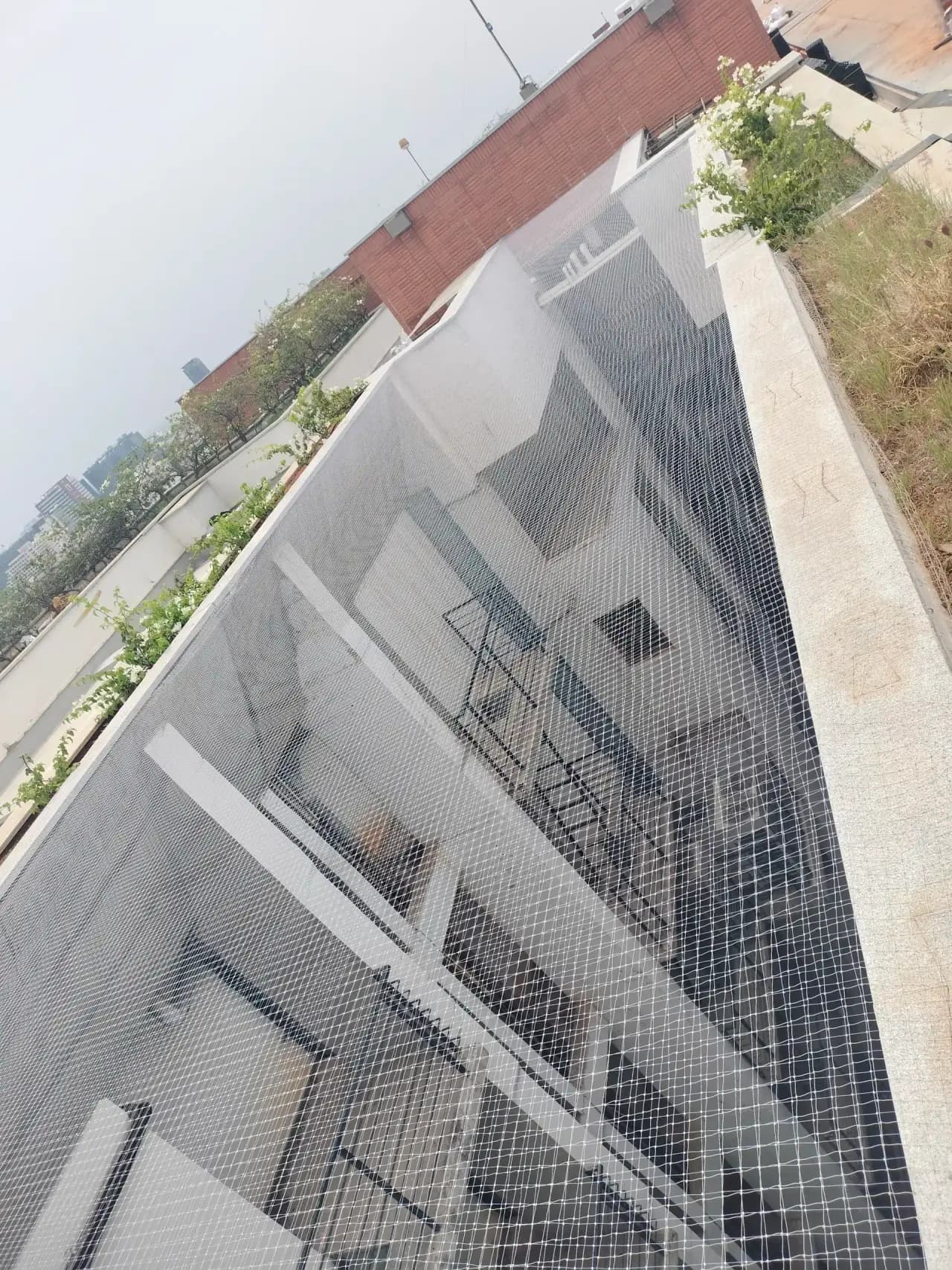 Terrace Safety Nets thumbnail 4 in Chennai
