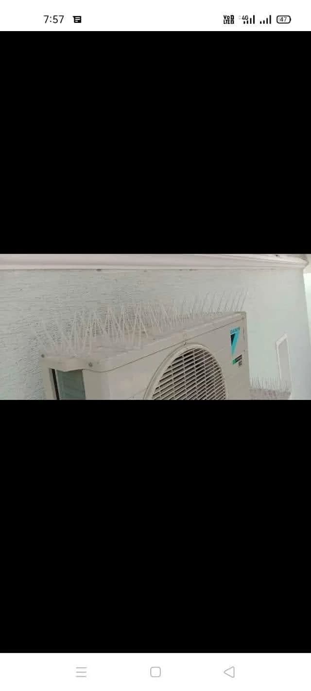 Bird Spikes Installation in Hyderabad