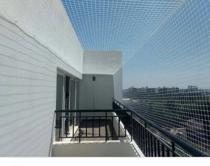 Invisible Bird Nets 3