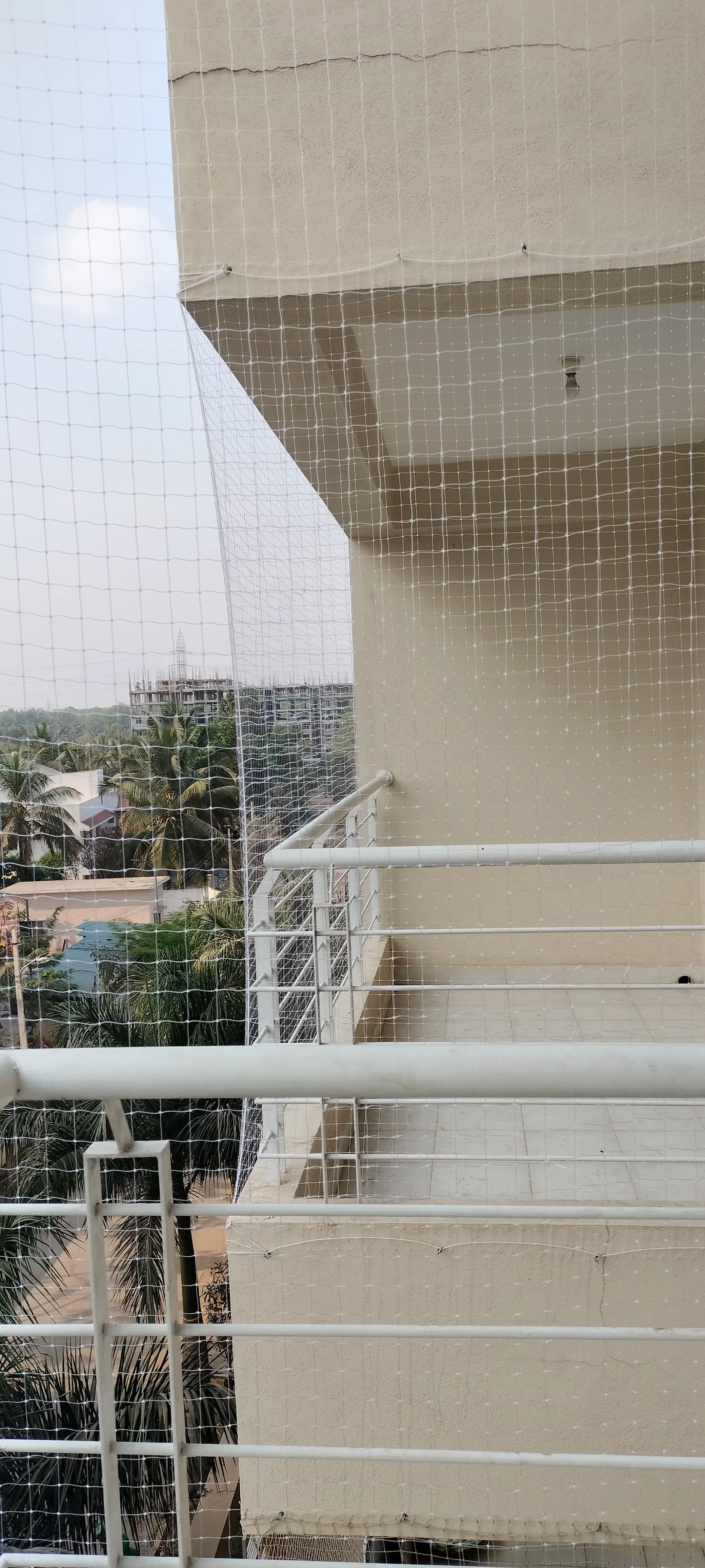 Invisible Bird Nets 4