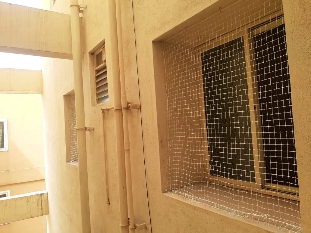 Anti-Bird Nets for Windows