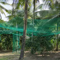 Tree Protection Nets sample finish by EverSafe Safety Nets