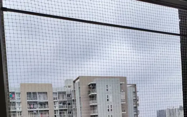 Pigeon Safety Nets installation service by EverSafe Safety Nets