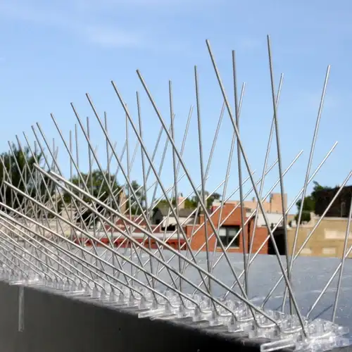 Bird Spikes Installation setup for balconies, ducts, terraces, and open spaces in Solur, Bangalore