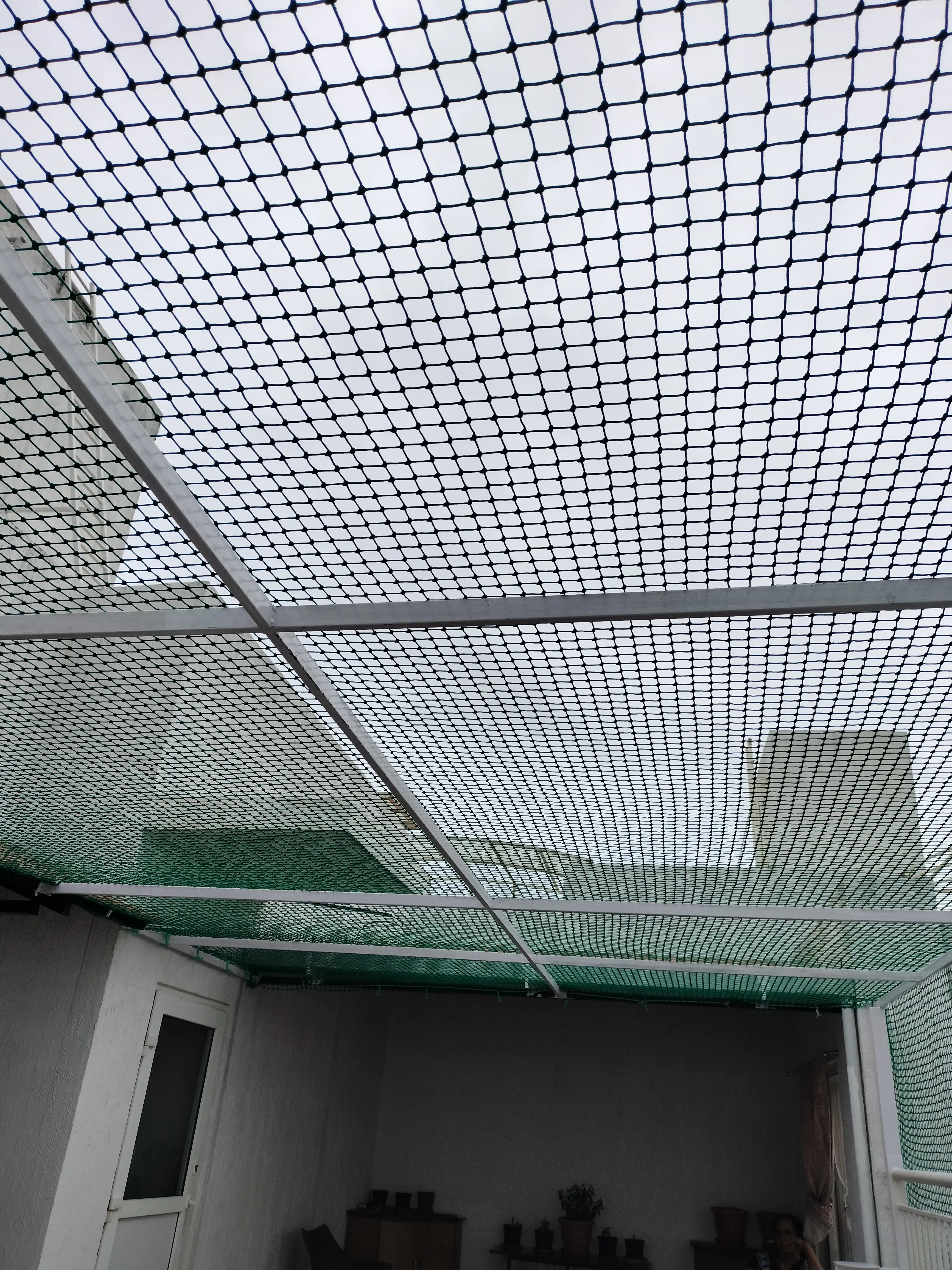 EverSafe Coconut Tree Safety Nets service coverage in Solur, Bangalore