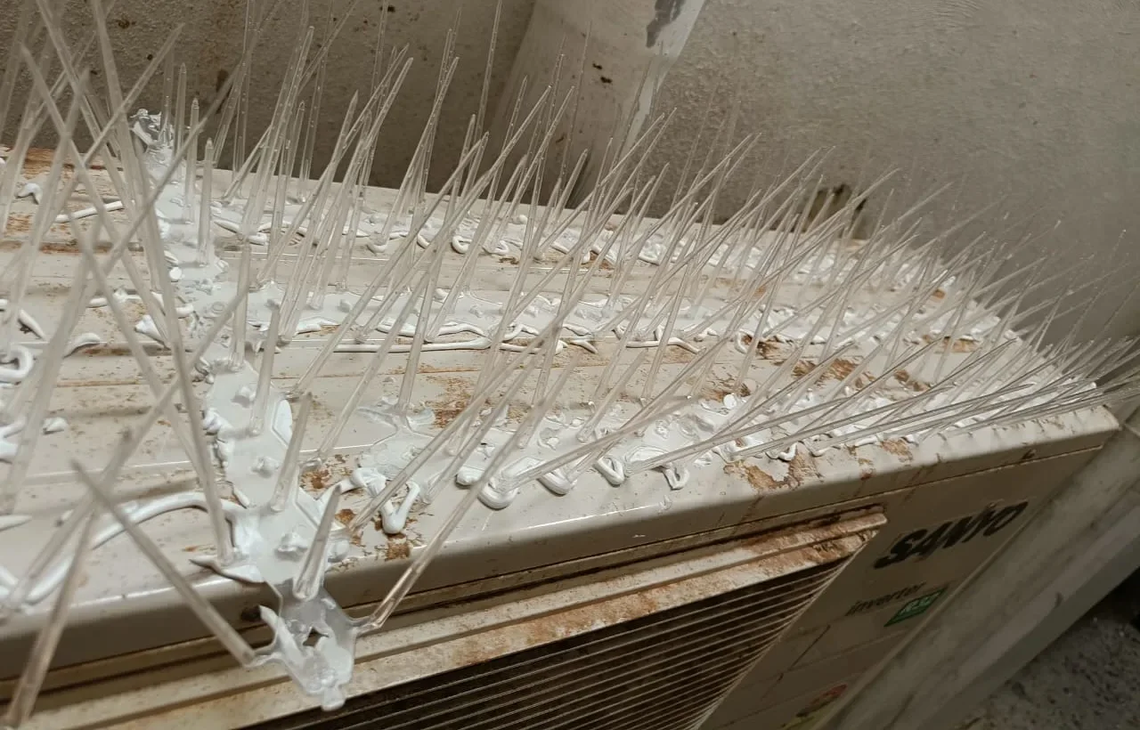 Bird Spikes Installation service planning for Hyderabad homes