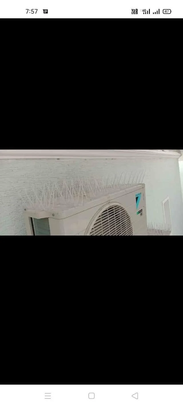 Bird Spikes Installation in Bangalore